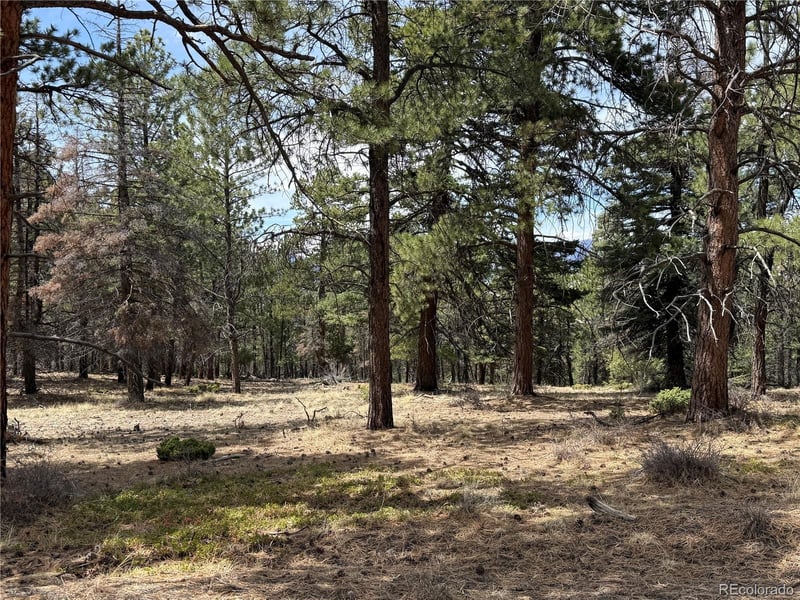 Lot 152 Tahmoush Ln Lot 152, Fort Garland, CO 81133