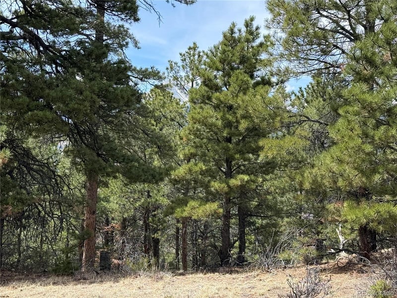 Lot 152 Tahmoush Ln Lot 152, Fort Garland, CO 81133