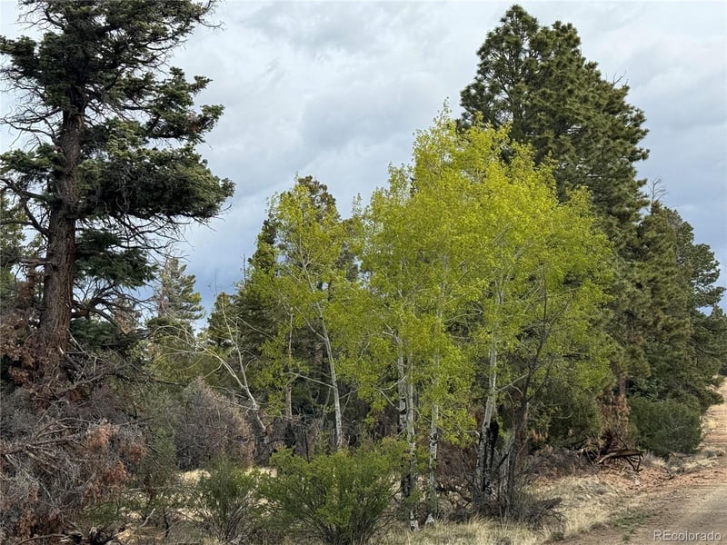 Lot 154 Tahmoush Ln Lot 154, Fort Garland, CO 81133