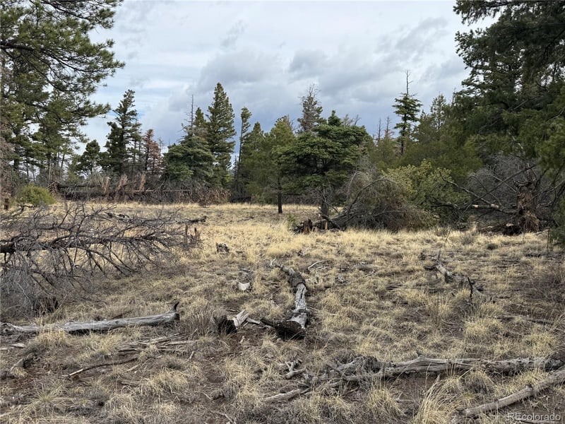 Lot 154 Tahmoush Ln Lot 154, Fort Garland, CO 81133