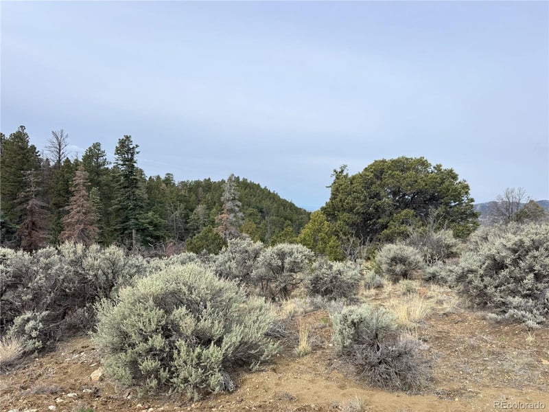Lot 154 Tahmoush Ln Lot 154, Fort Garland, CO 81133