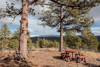 000 Twinkle Rd, Guffey, CO 80820
