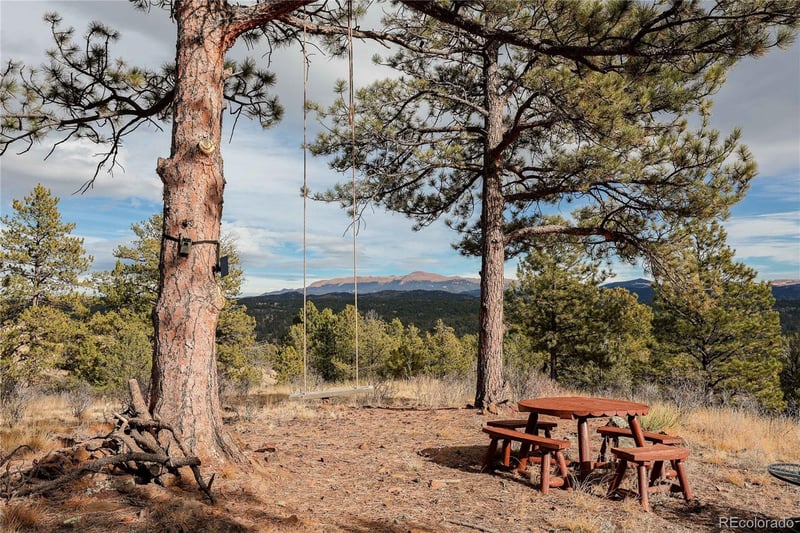 000 Twinkle Rd, Guffey, CO 80820