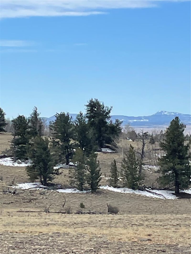 148 Grand Teton Dr, Hartsel, CO 80449