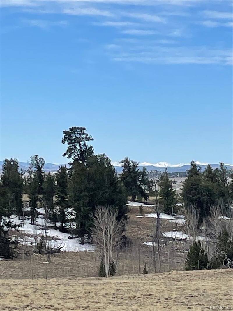 148 Grand Teton Dr, Hartsel, CO 80449