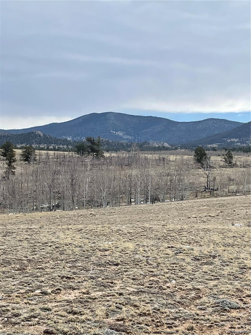 148 Grand Teton Dr, Hartsel, CO 80449