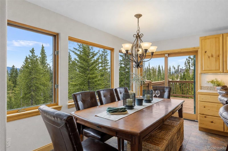 91795 Ryan Gulch Rd, Silverthorne, CO 80498