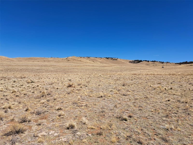 8313 Black Kettle Rd, Hartsel, CO 80449