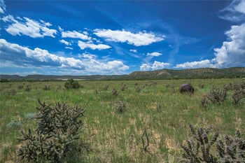 County Road 71 1, Trinidad, CO 81082
