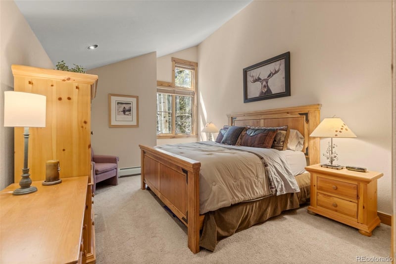 206 Alpen Rose Pl #8727, Dillon, CO 80435