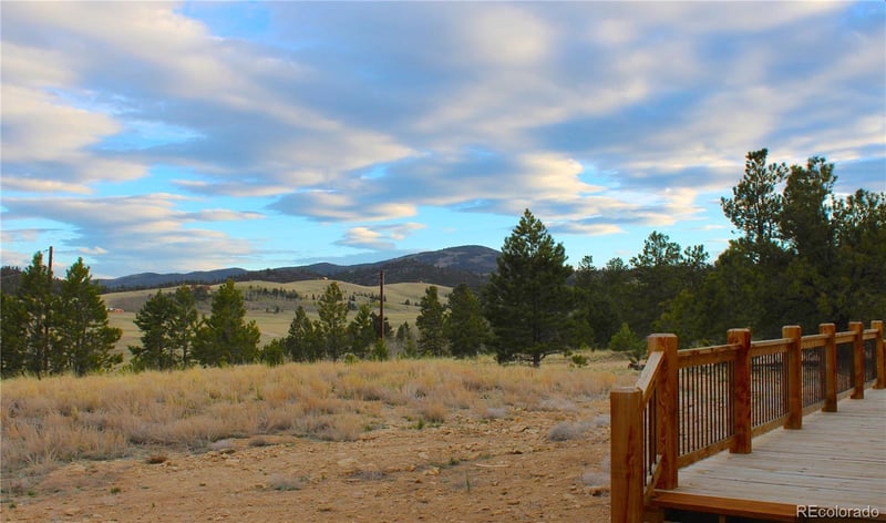 59 Whip Way, Hartsel, CO 80449