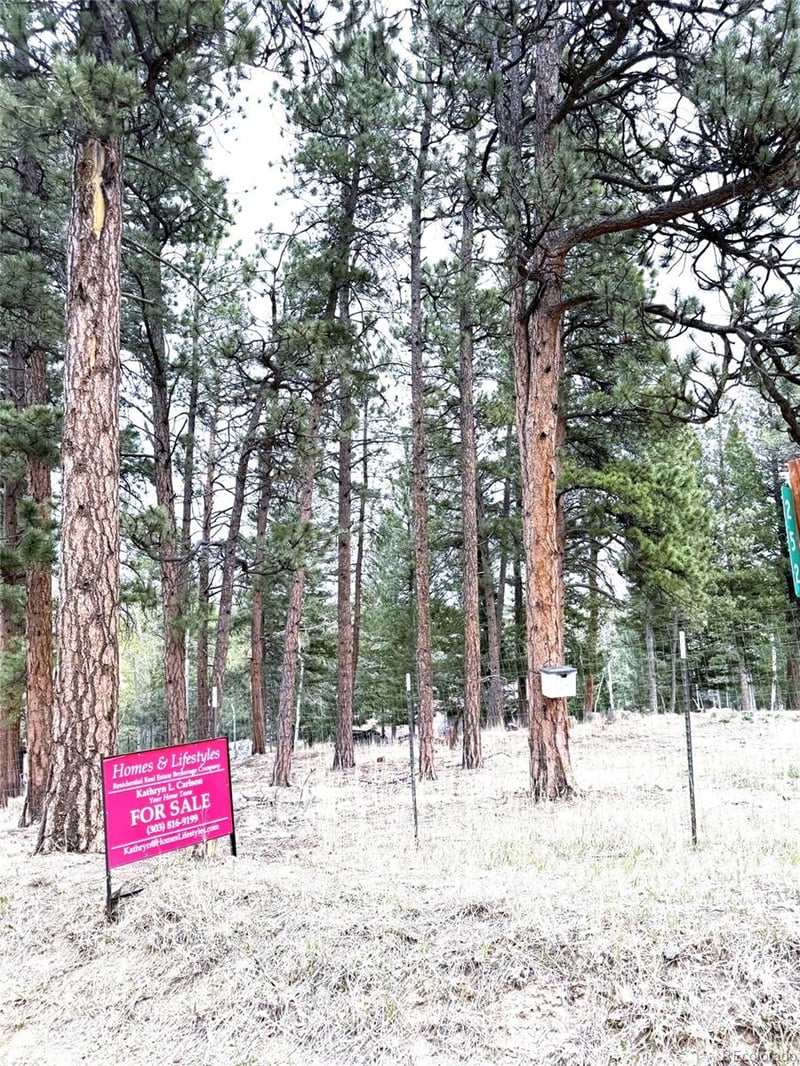 252 Beaver Trl, Bailey, CO 80421