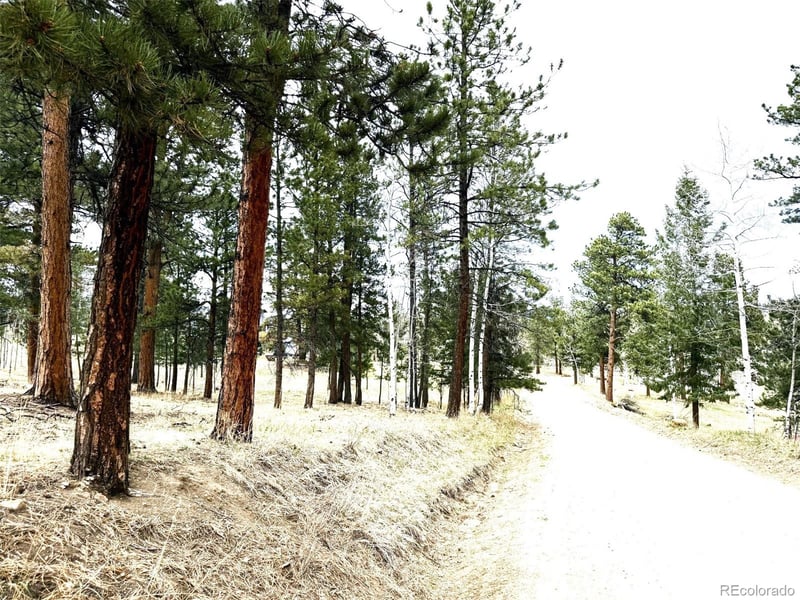 252 Beaver Trl, Bailey, CO 80421