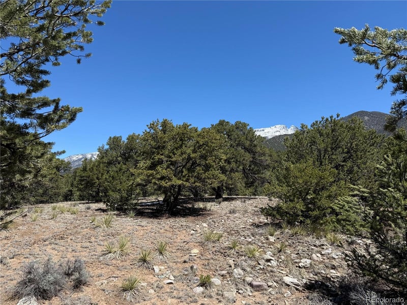 3231 Camino Del Rey, Crestone, CO 81131