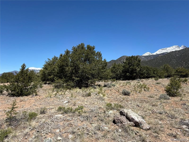 3231 Camino Del Rey, Crestone, CO 81131