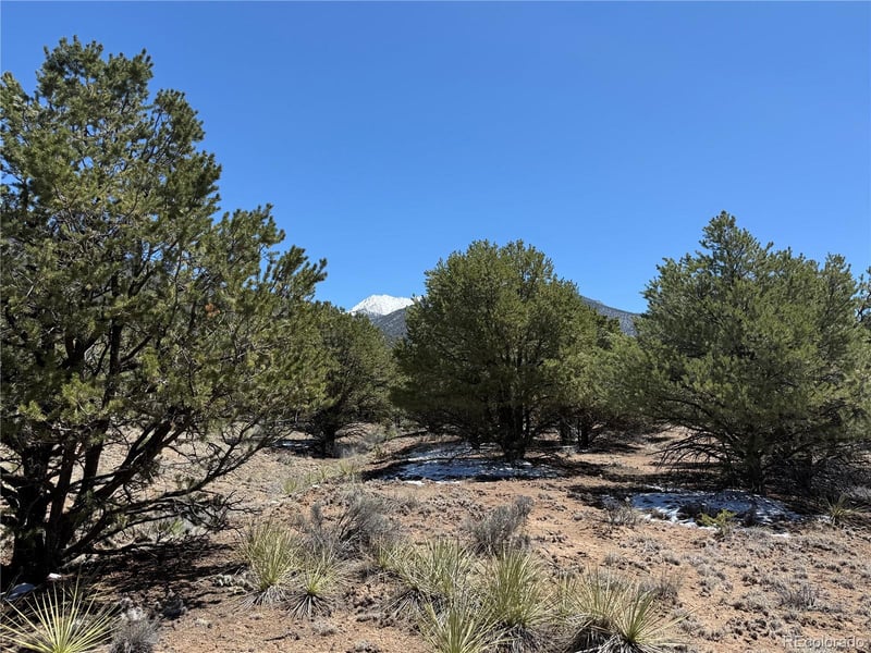 3231 Camino Del Rey, Crestone, CO 81131