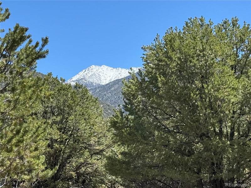 3231 Camino Del Rey, Crestone, CO 81131