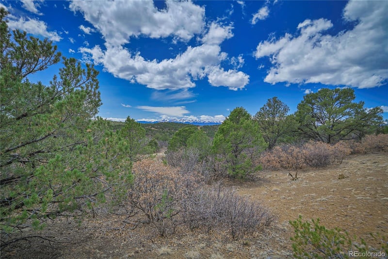 Primero Ranch Lot 45, Weston, CO 81091