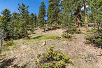 9701 City View Dr, Morrison, CO 80465