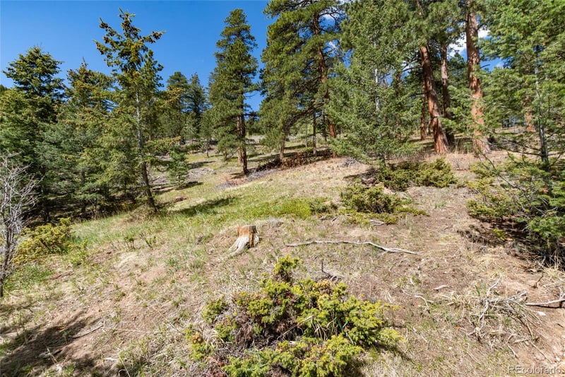 9701 City View Dr, Morrison, CO 80465