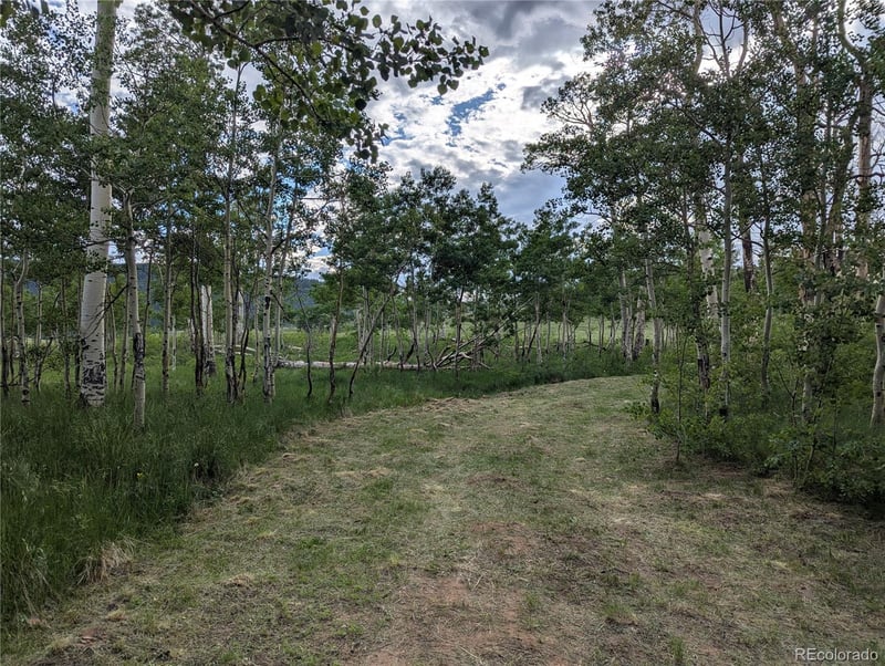 2433 Petito Dr, Fort Garland, CO 81133