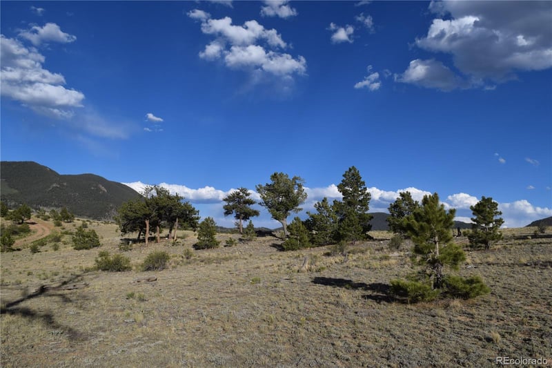 10682 Routt Rd, Lake George, CO 80827