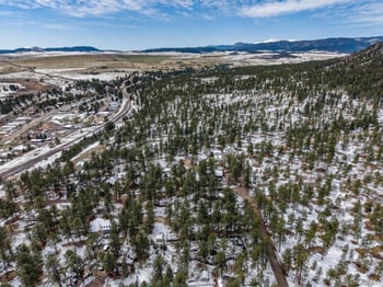 9231 Curtis Rd, Larkspur, CO 80118