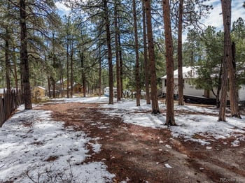 9231 Curtis Rd, Larkspur, CO 80118