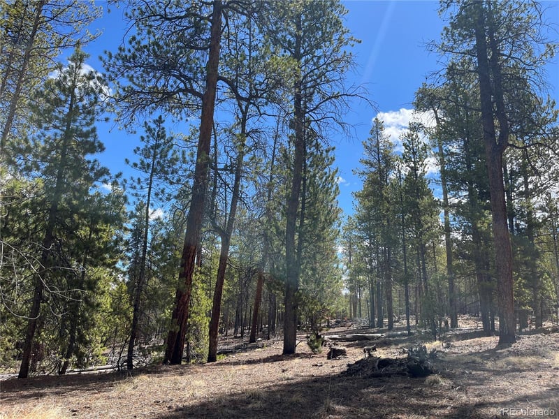 1013 Sequoia Dr, Twin Lakes, CO 81251