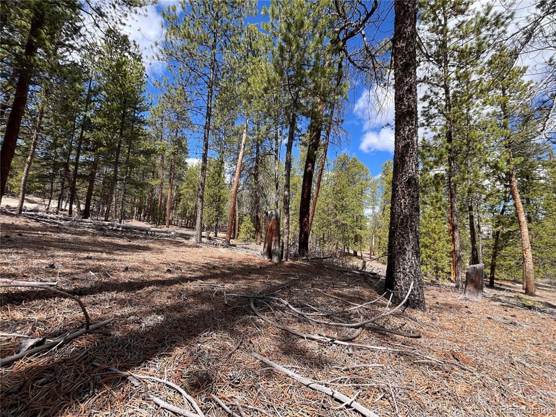 1013 Sequoia Dr, Twin Lakes, CO 81251