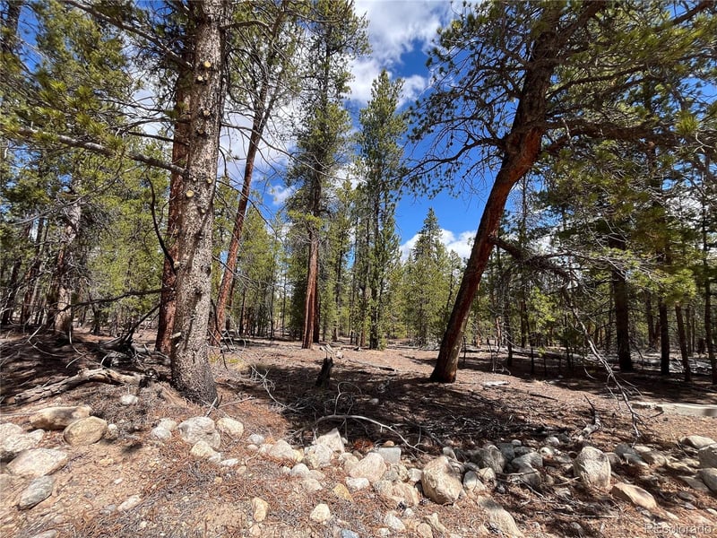 1013 Sequoia Dr, Twin Lakes, CO 81251
