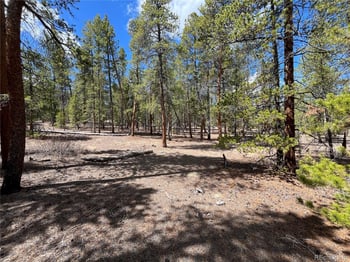 1013 Sequoia Dr, Twin Lakes, CO 81251