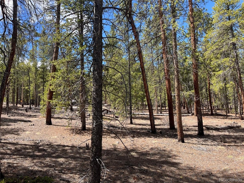1013 Sequoia Dr, Twin Lakes, CO 81251
