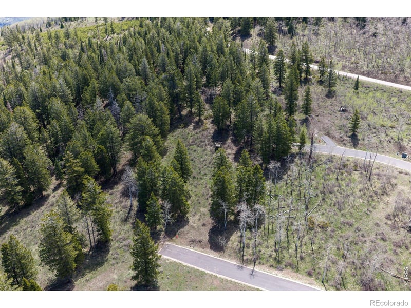 107 Cavesson Ct, Edwards, CO 81632