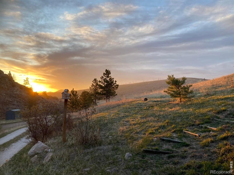 1652 Eiger Rd, Livermore, CO 80536