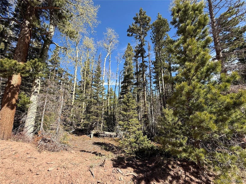 Lot 3408 Drexler Pl Lot 3408, Fort Garland, CO 81133
