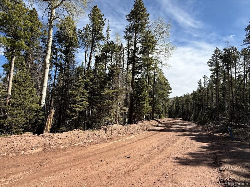 Lot 3408 Drexler Pl Lot 3408, Fort Garland, CO 81133