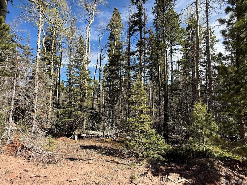 Lot 3408 Drexler Pl Lot 3408, Fort Garland, CO 81133