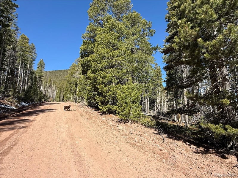 Lot 3408 Drexler Pl Lot 3408, Fort Garland, CO 81133