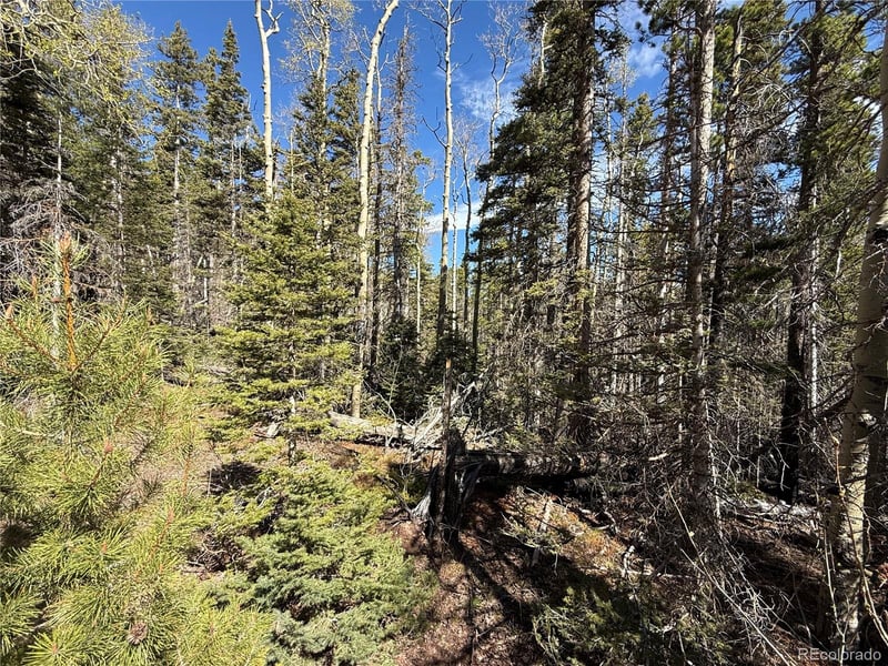 Lot 3408 Drexler Pl Lot 3408, Fort Garland, CO 81133