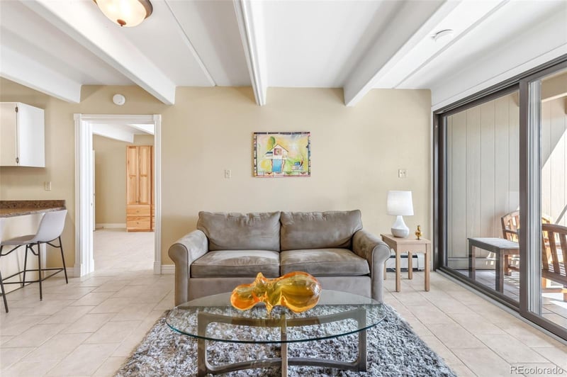 220 La Bonte St #215, Dillon, CO 80435