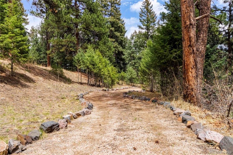7008 Bluff Trl, Morrison, CO 80465