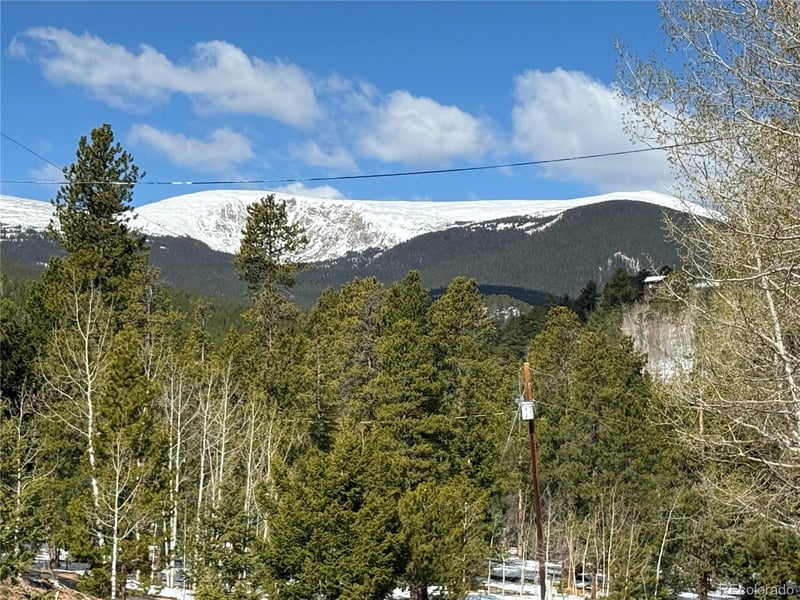 232 Highlands Dr, Bailey, CO 80421