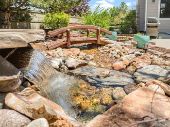 11943 Song Bird Hills St, Parker, CO 80138