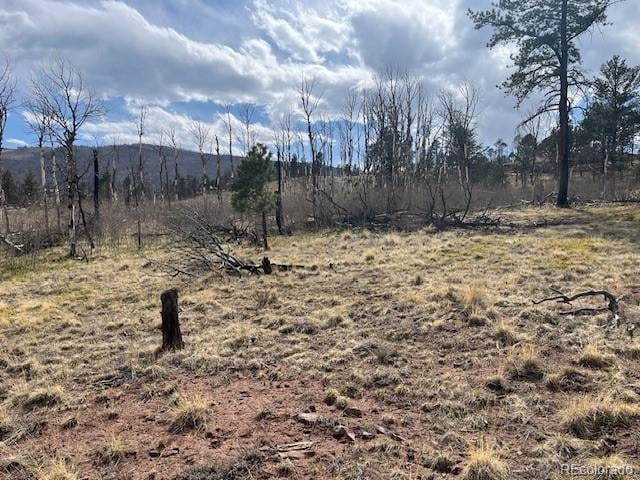 Lot 686 Cogbill Dr, Fort Garland, CO 81133