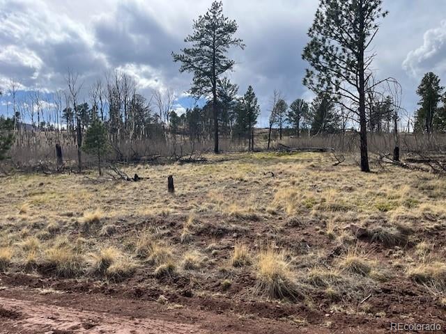 Lot 686 Cogbill Dr, Fort Garland, CO 81133