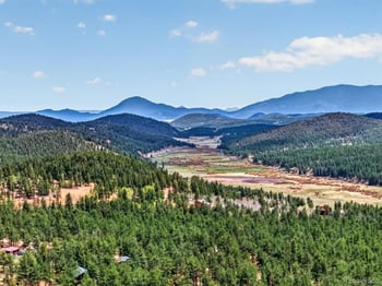 599 Vigilante Ave, Bailey, CO 80421
