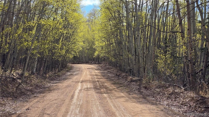 Lot 5902 Slegers Rd Lot 5902, Fort Garland, CO 81133