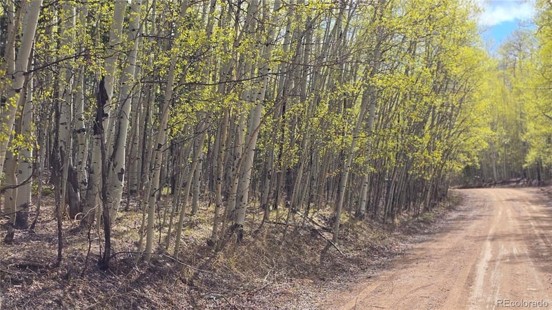 Lot 5902 Slegers Rd Lot 5902, Fort Garland, CO 81133