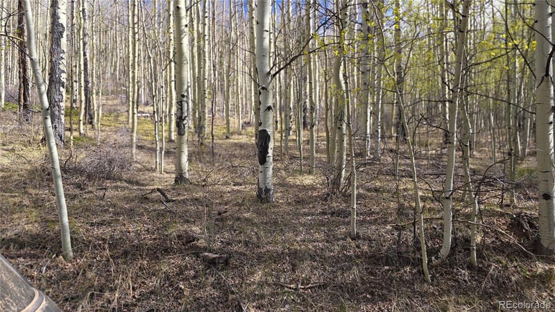 Lot 5902 Slegers Rd Lot 5902, Fort Garland, CO 81133